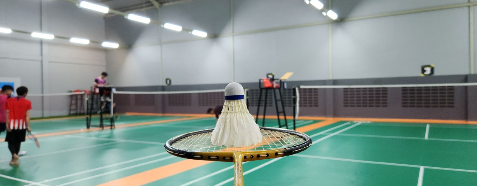 Skyline Badminton Club